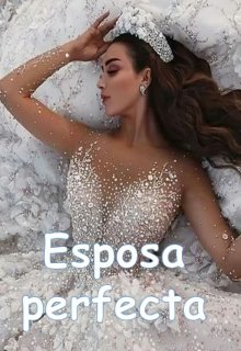 «Esposa perfecta» de Karen Pamela De La O Jaimes