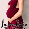 «La rendición de Drago» de Lirio Blanco Descargar (download) libro gratis pdf, epub, mobi, Leer en línea sin registrarse