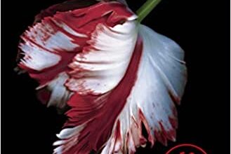 «Luna nueva (Saga Crepúsculo 2)» de Stephenie Meyer Descargar (download) libro gratis pdf, epub, mobi, Leer en línea sin registrarse