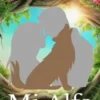 «Mi Alfa» Carolina Chibiusa Descargar (download) libro gratis pdf, epub, mobi, Leer en línea sin registrarse