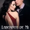 «Laberinto de Mi Ex-Marido» Maritzá Descargar (download) libro gratis pdf, epub, mobi, Leer en línea sin registrarse
