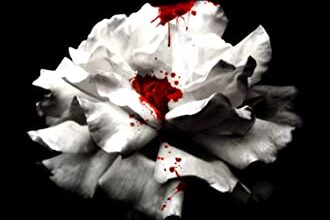 «Anhelo (Serie Crave 1)» de Tracy Wolff Descargar (download) libro gratis pdf, epub, mobi, Leer en línea sin registrarse