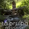 «La Druida Olvidada» de Cristina Pujadas Descargar (download) libro gratis pdf, epub, mobi, Leer en línea sin registrarse